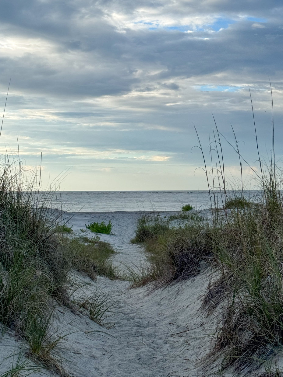 beach-grass-leading-to-the-ocean