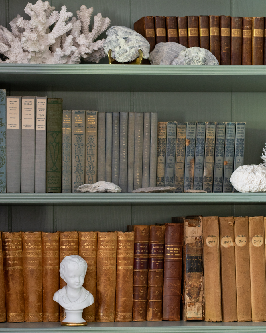 book-shelf-with-books-casts-and-shells