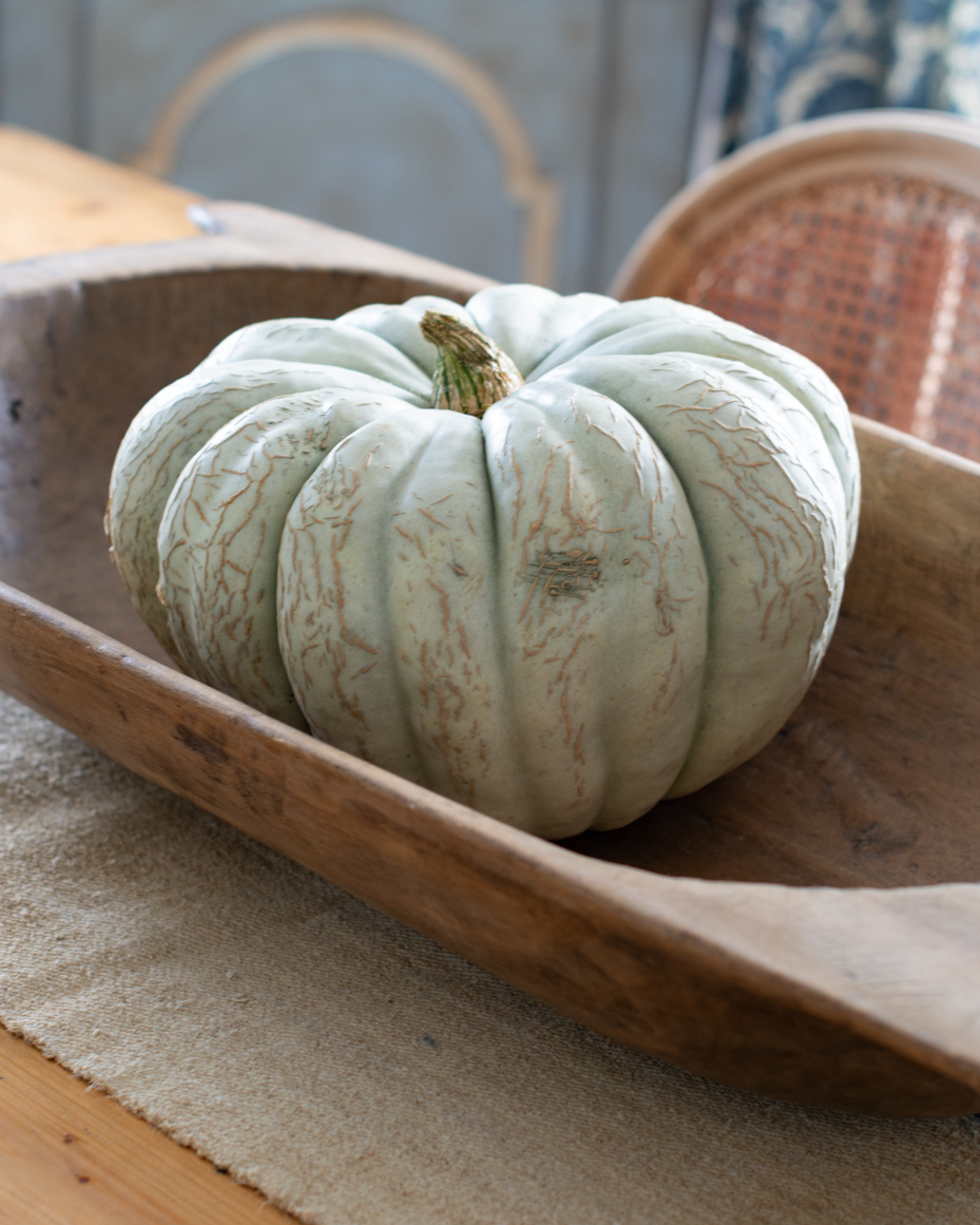 pumpkin-in-tray