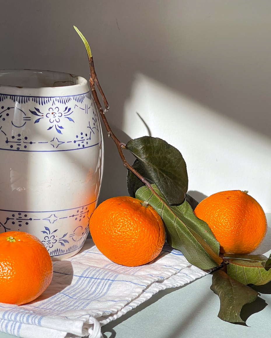 tangerines-next-to-vase-on-dish-towel