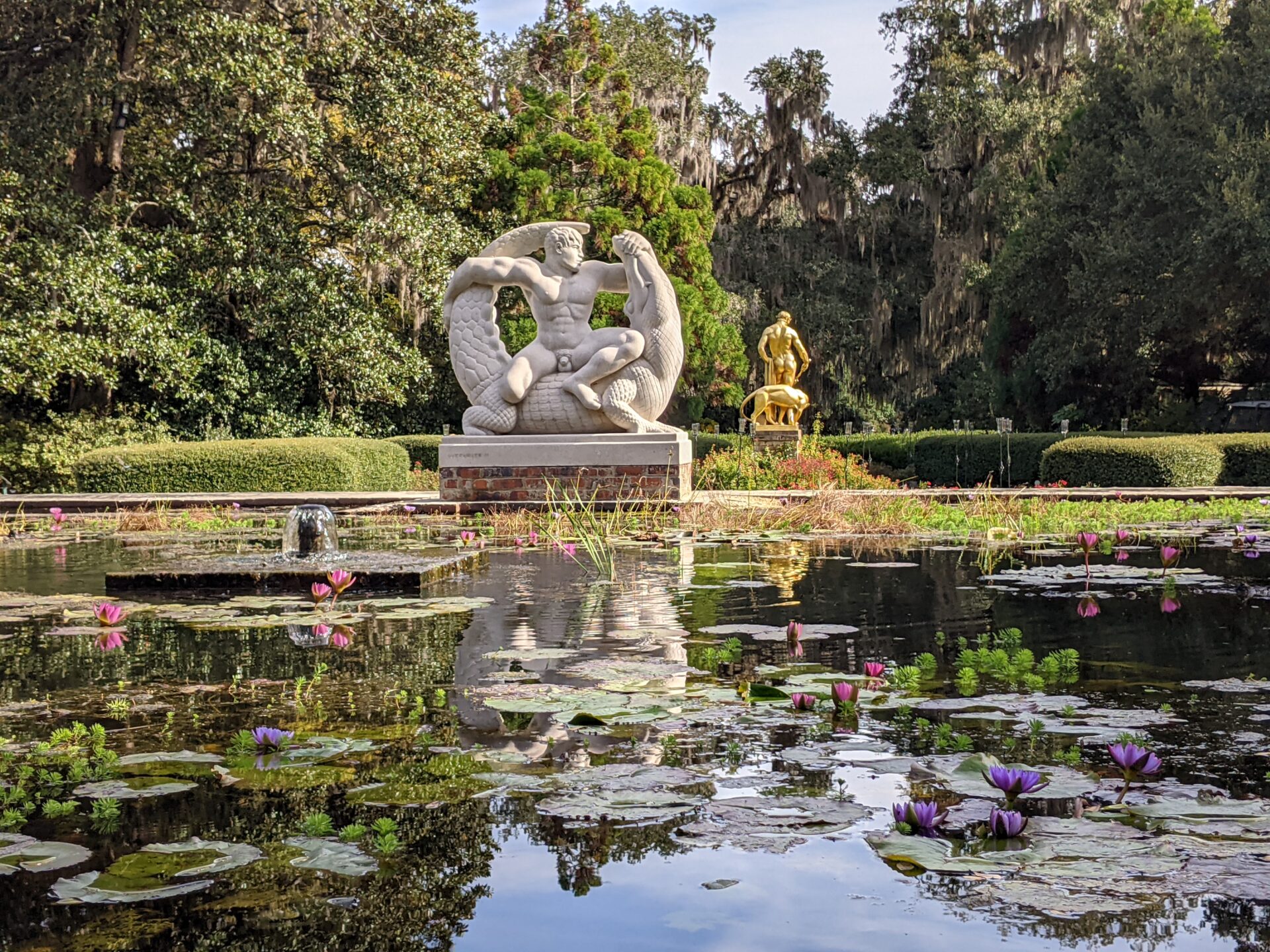 lily-pad-pool