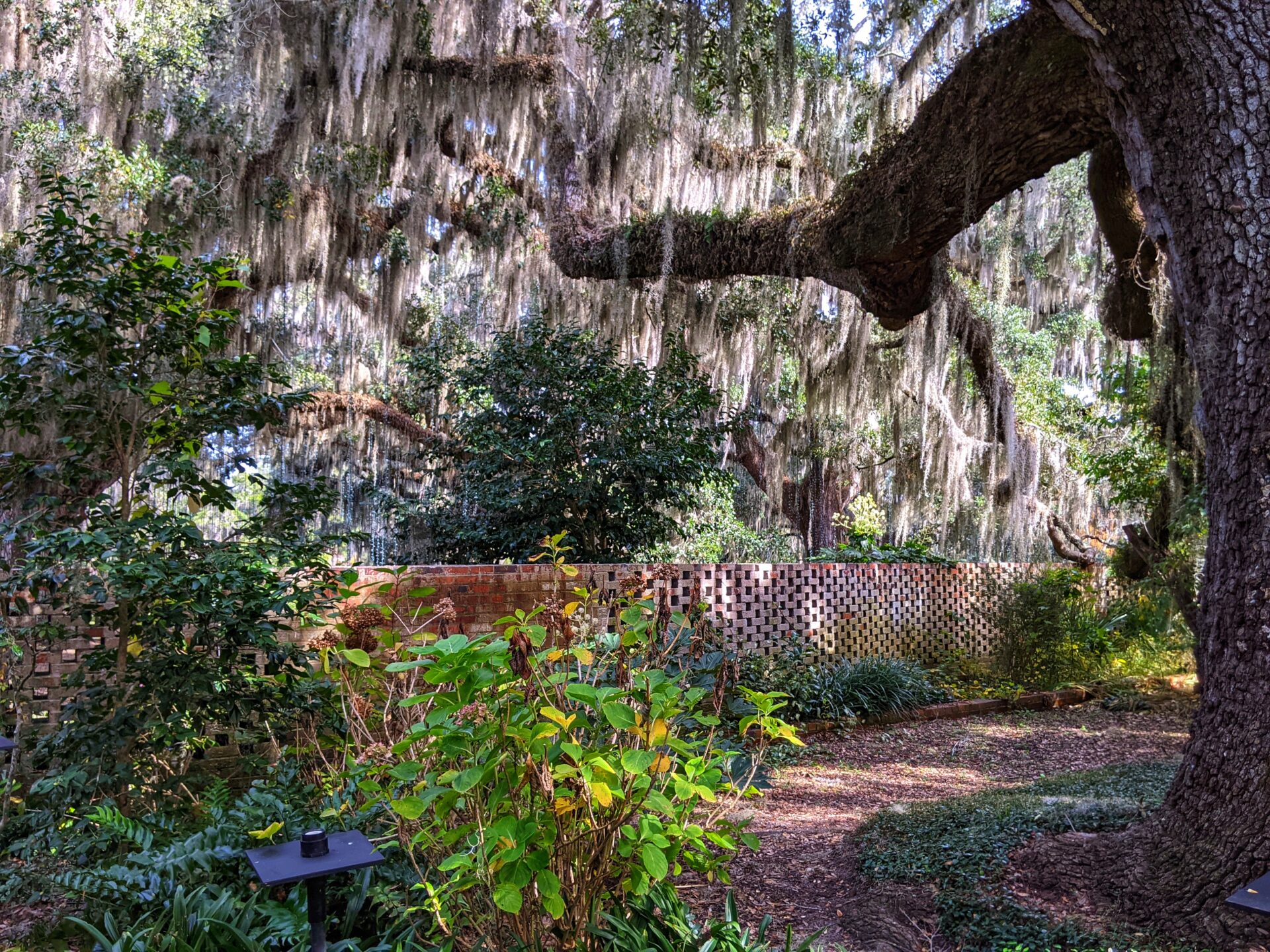 live-oak-garden-wall