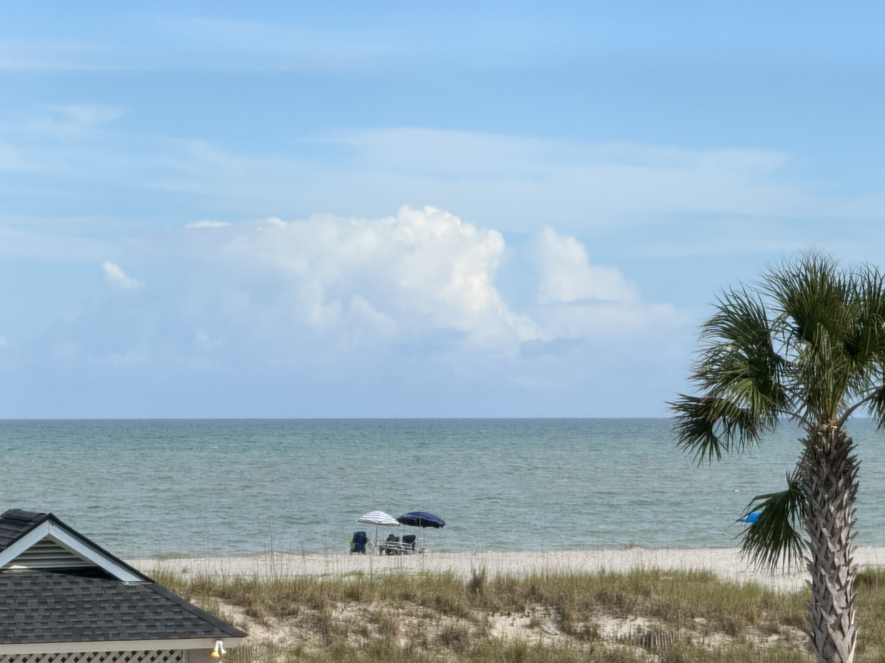 coastal-scene-with-palm-tree-beach-and-ocean-under-a-blue-sky-with-white-clouds