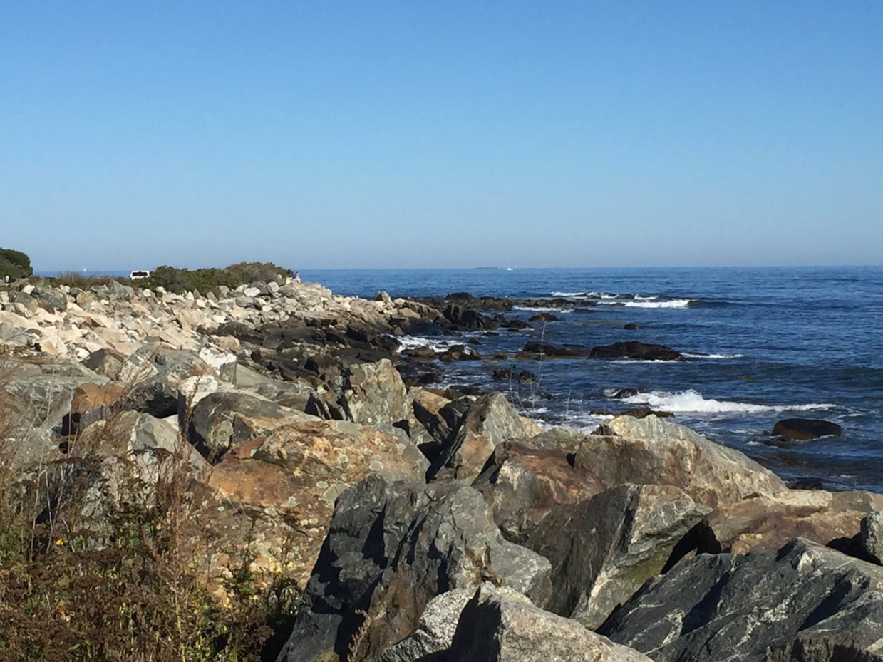 rocky-coastline-with-blue-ocean-waves-clear-sky-and-scattered-vegetation