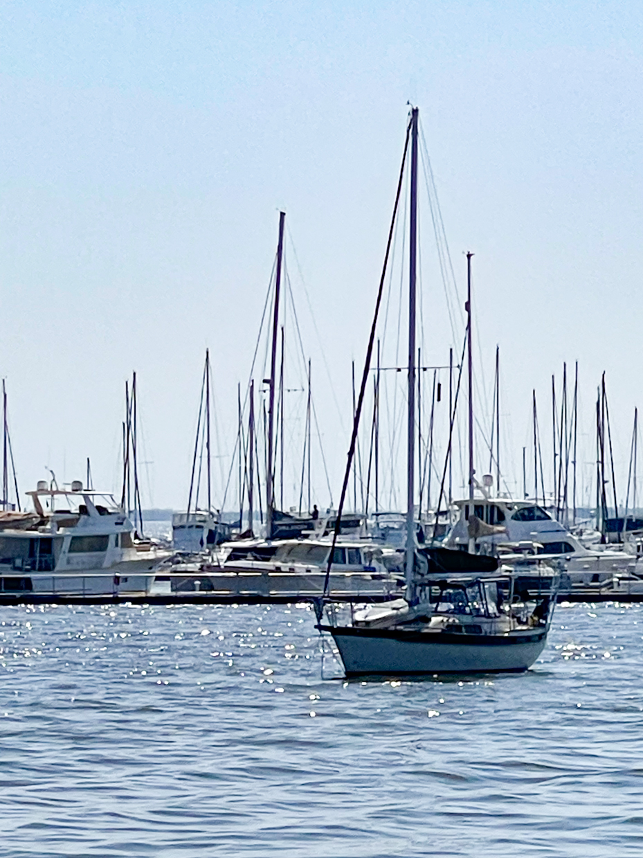 sailboats-anchored-in-a-marina-with-a-clear-blue-sky-and-shimmering-water