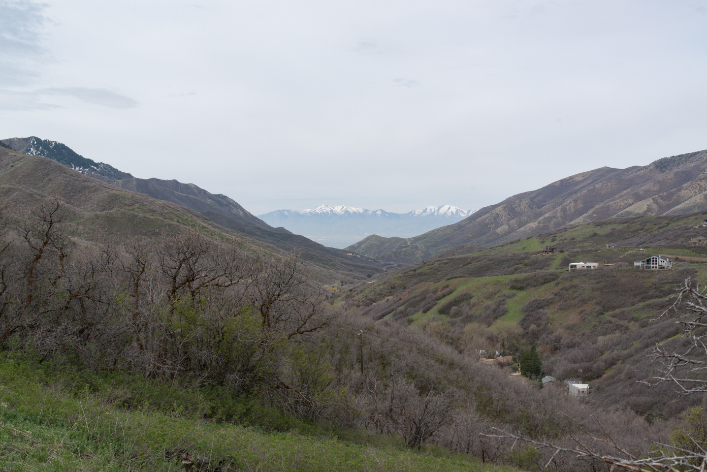 scenic-valley-and-snow-capped-mountains