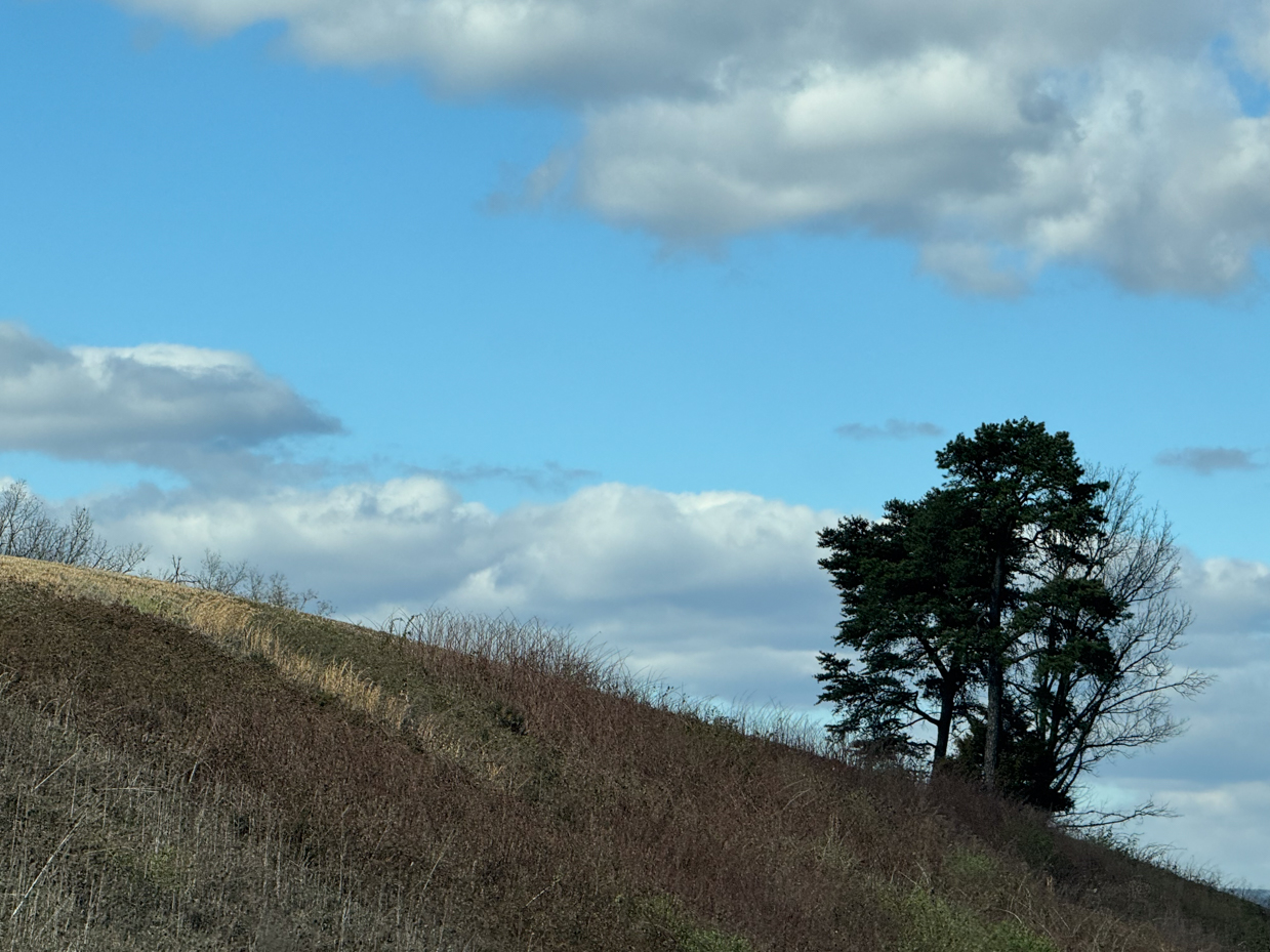 rolling-hills-with-lone-oak-tree-under-dramatic-cloudy-sky-rural-scenic-overlook