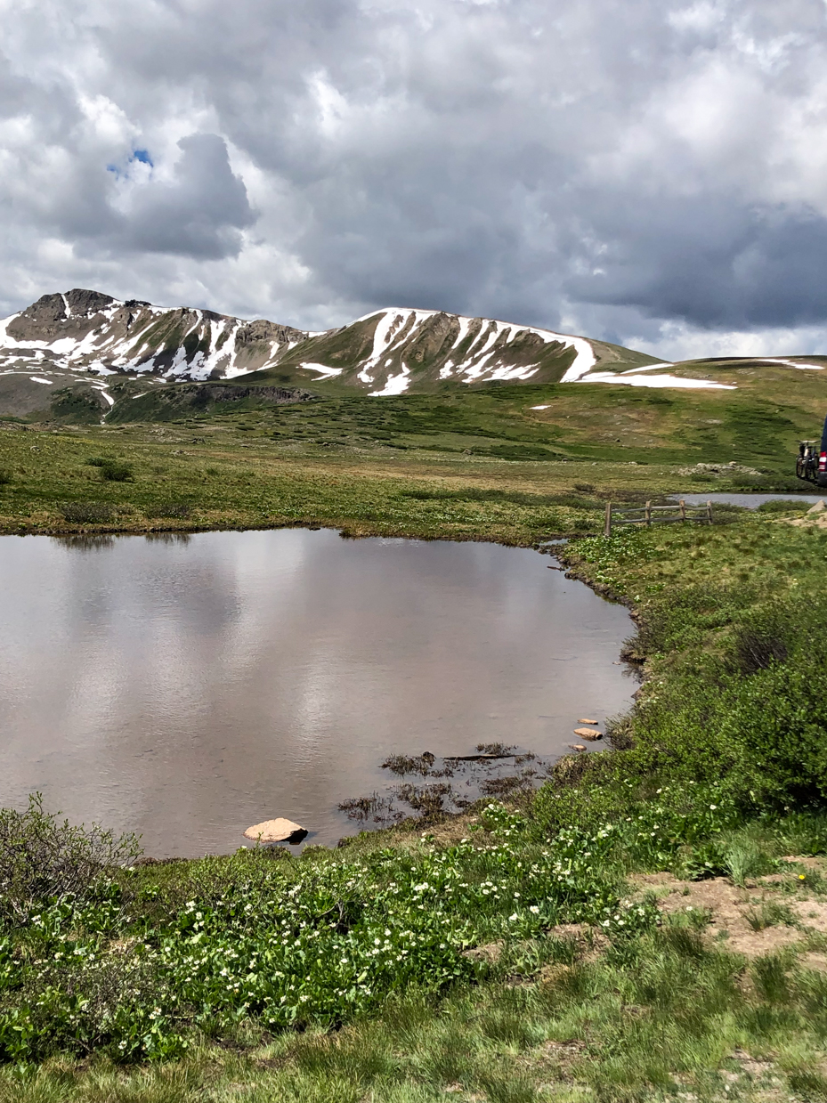 alpine-lake-reflective-mountain-vista-wildflower-meadow-dramatic-sky-scenic-landscape-artist-reference-photo