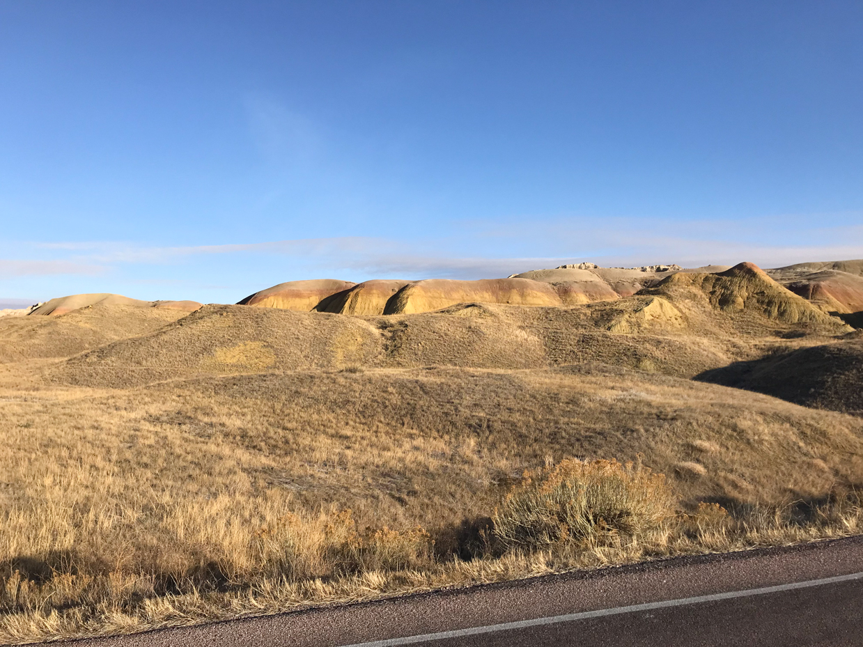 expansive-golden-grasslands-with-rolling-eroded-hills-under-clear-blue-sky-in-badlands-national-park-royalty-free-landscape-reference-photo-for-geology-desert-terrain-and-wilderness-photography