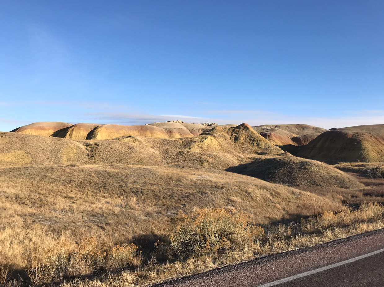 golden-rolling-hills-and-grasslands-in-badlands-national-park-under-clear-blue-sky-royalty-free-landscape-reference-photo-for-desert-geology-eroded-terrain-and-wilderness-photography