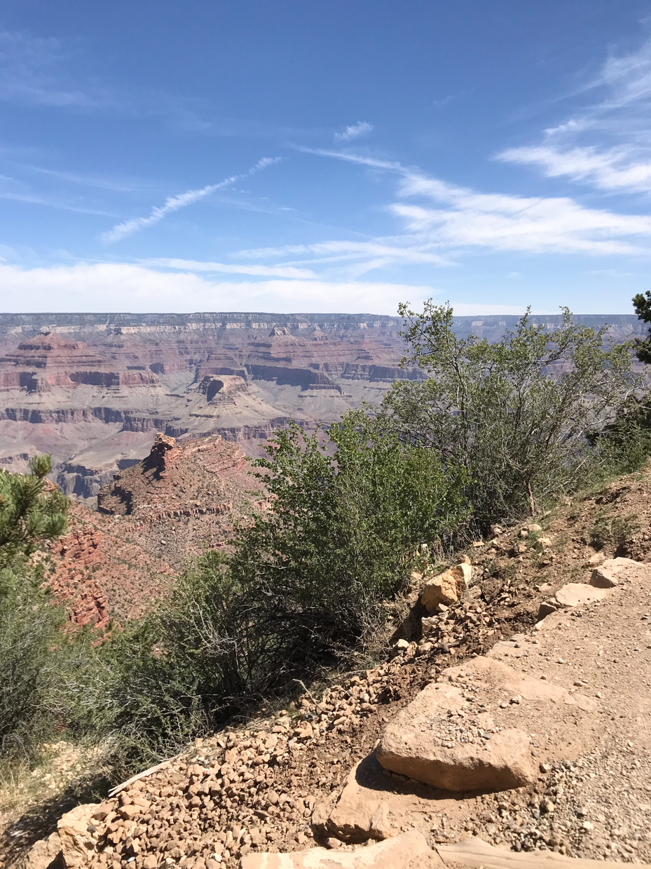 grand-canyon-view-with-rocky-trail-and-clear-blue-sky