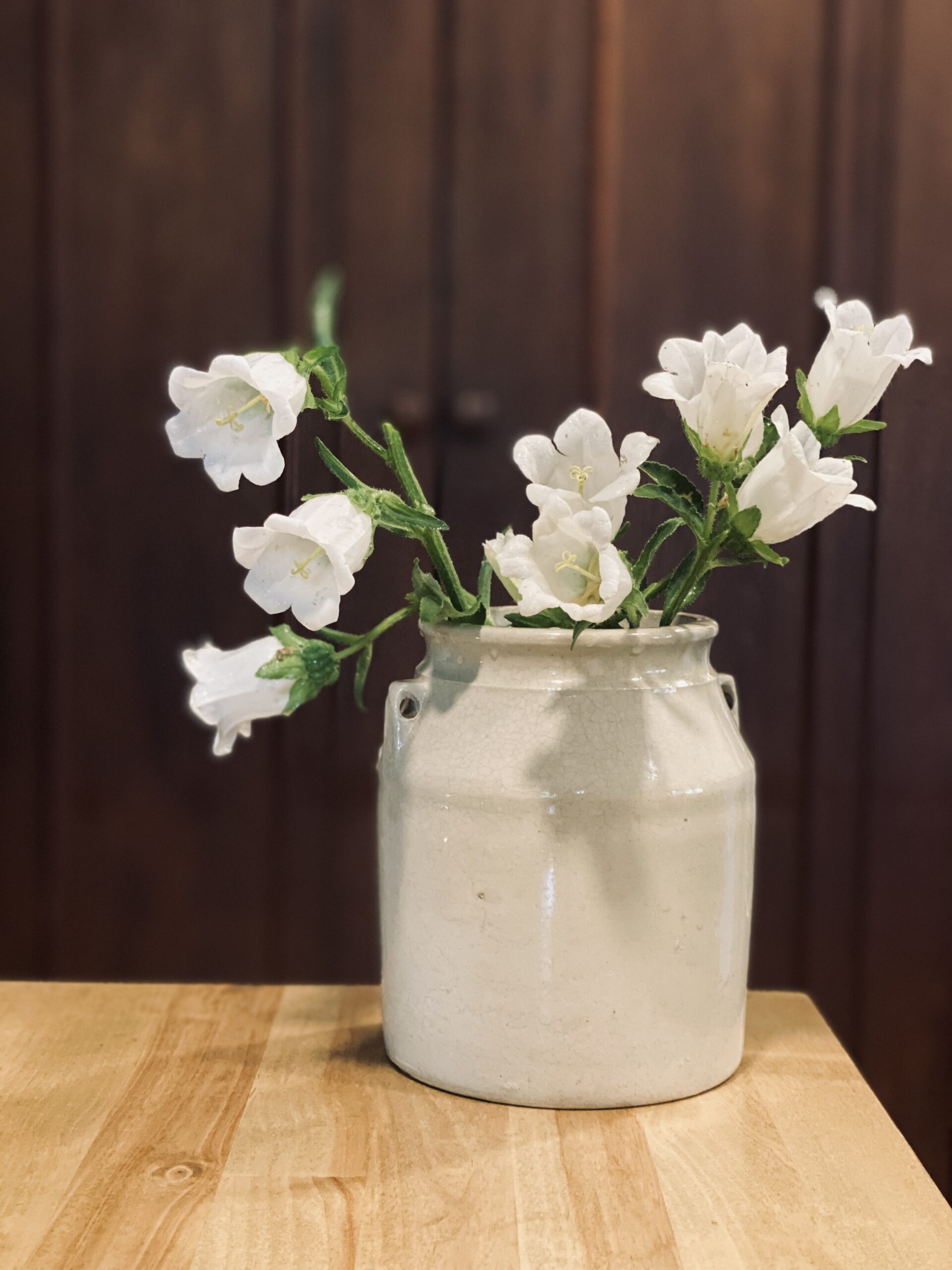 still-life-white-flowers