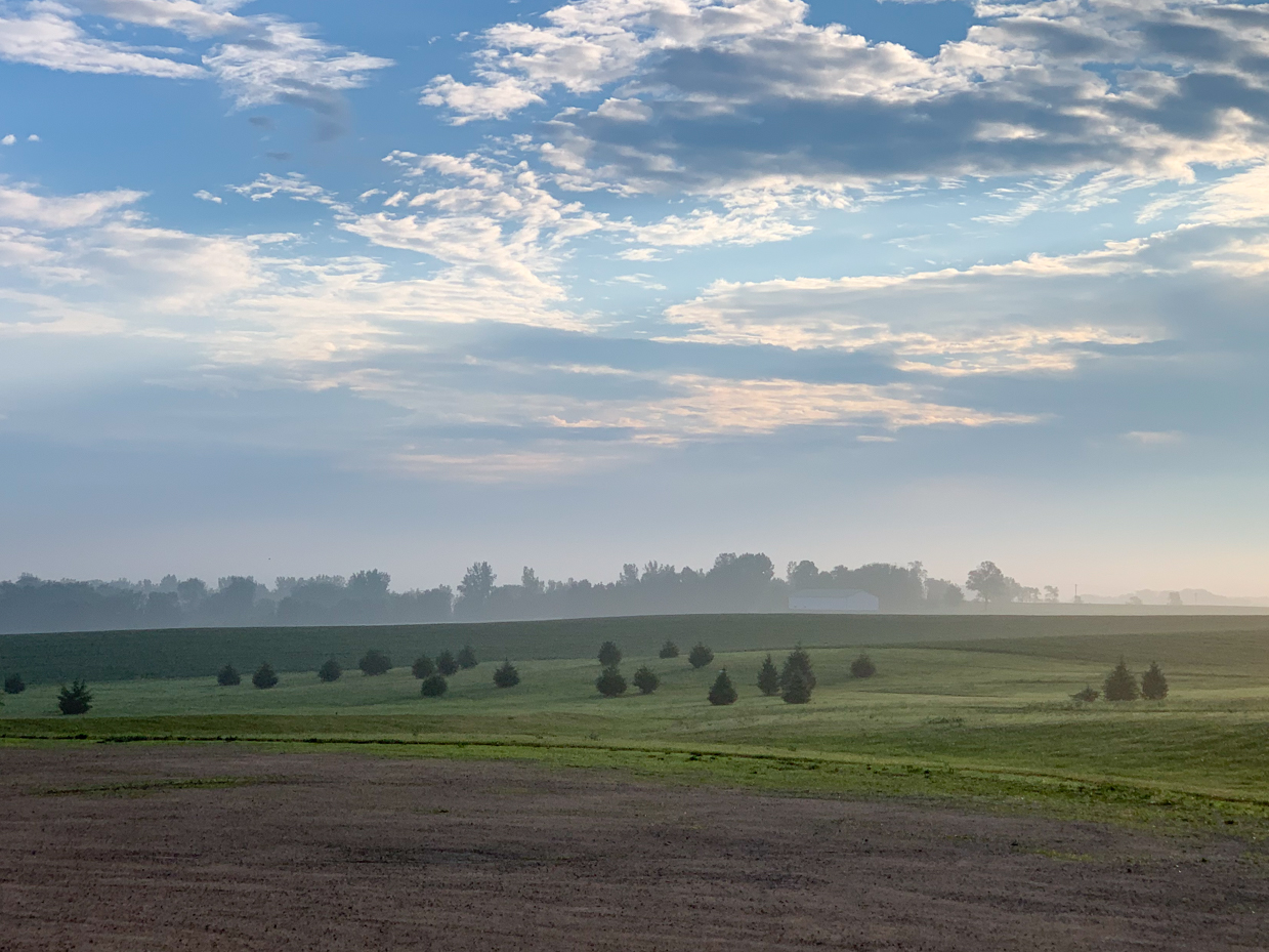 misty-morning-rural-landscape-artist-reference-photo