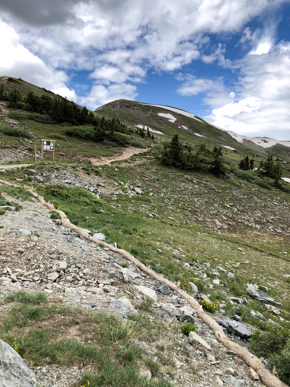 mountain-trail-through-rocky-alpine-terrain-with-evergreen-trees-under-partly-cloudy-sky-royalty-free-nature-and-adventure-reference-photo-for-hiking-wilderness-and-outdoor-exploration