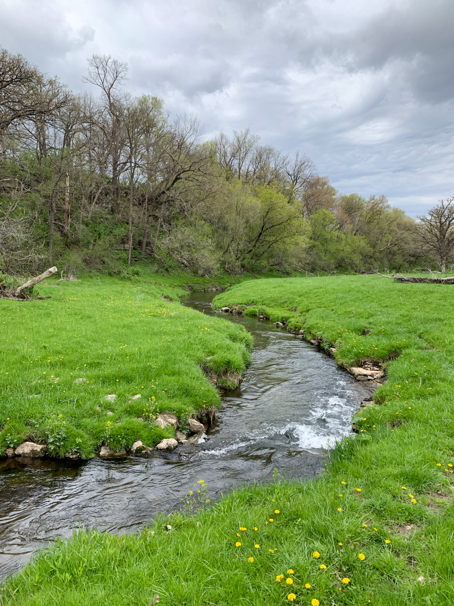 peaceful-stream-flowing-through-green-meadow-with-trees-and-wildflowers-under-cloudy-sky-royalty-free-nature-landscape-reference-photo-for-scenic-waterways-springtime-and-outdoor-exploration