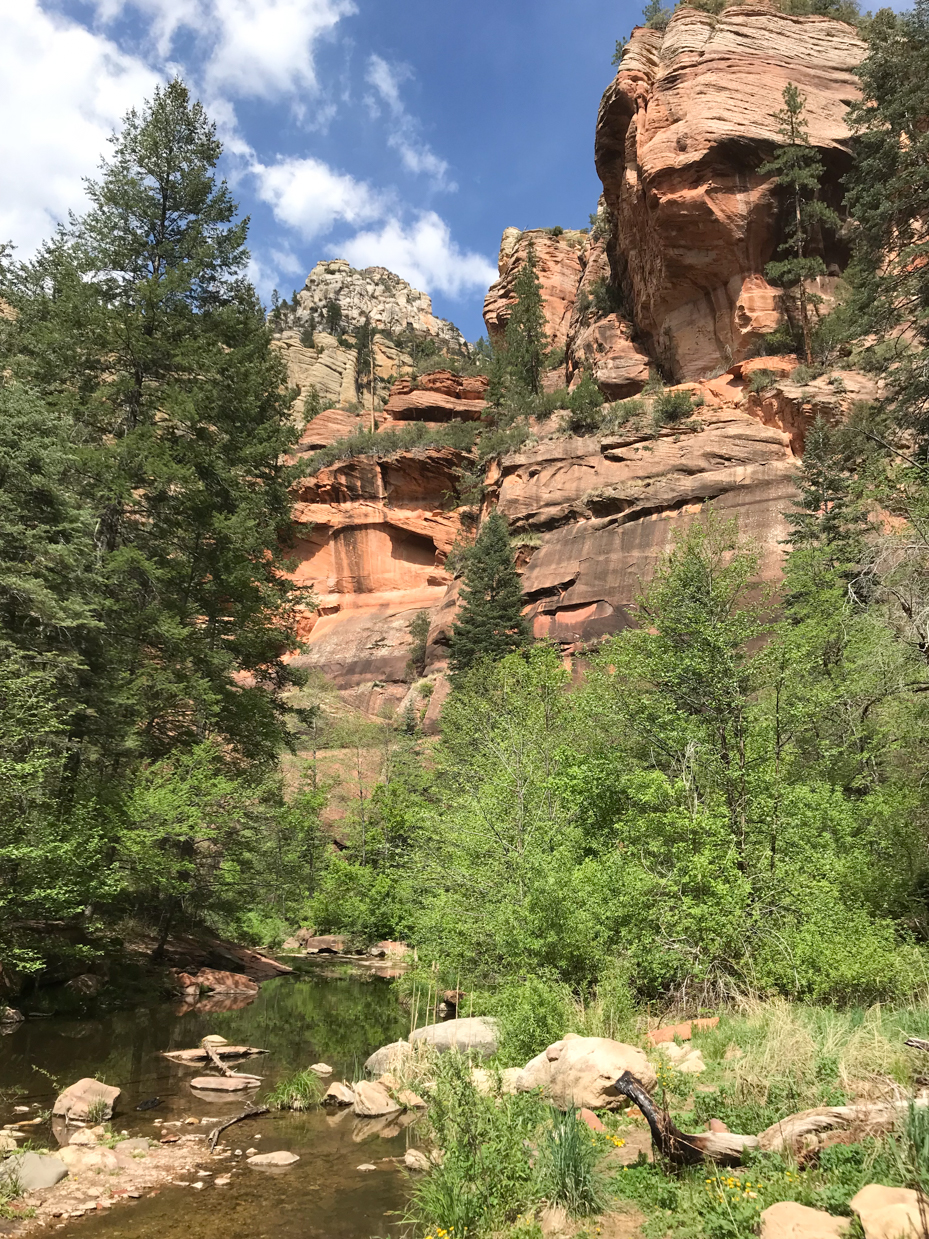 red-rock-cliffs-and-lush-creekside-forest-under-bright-blue-skies