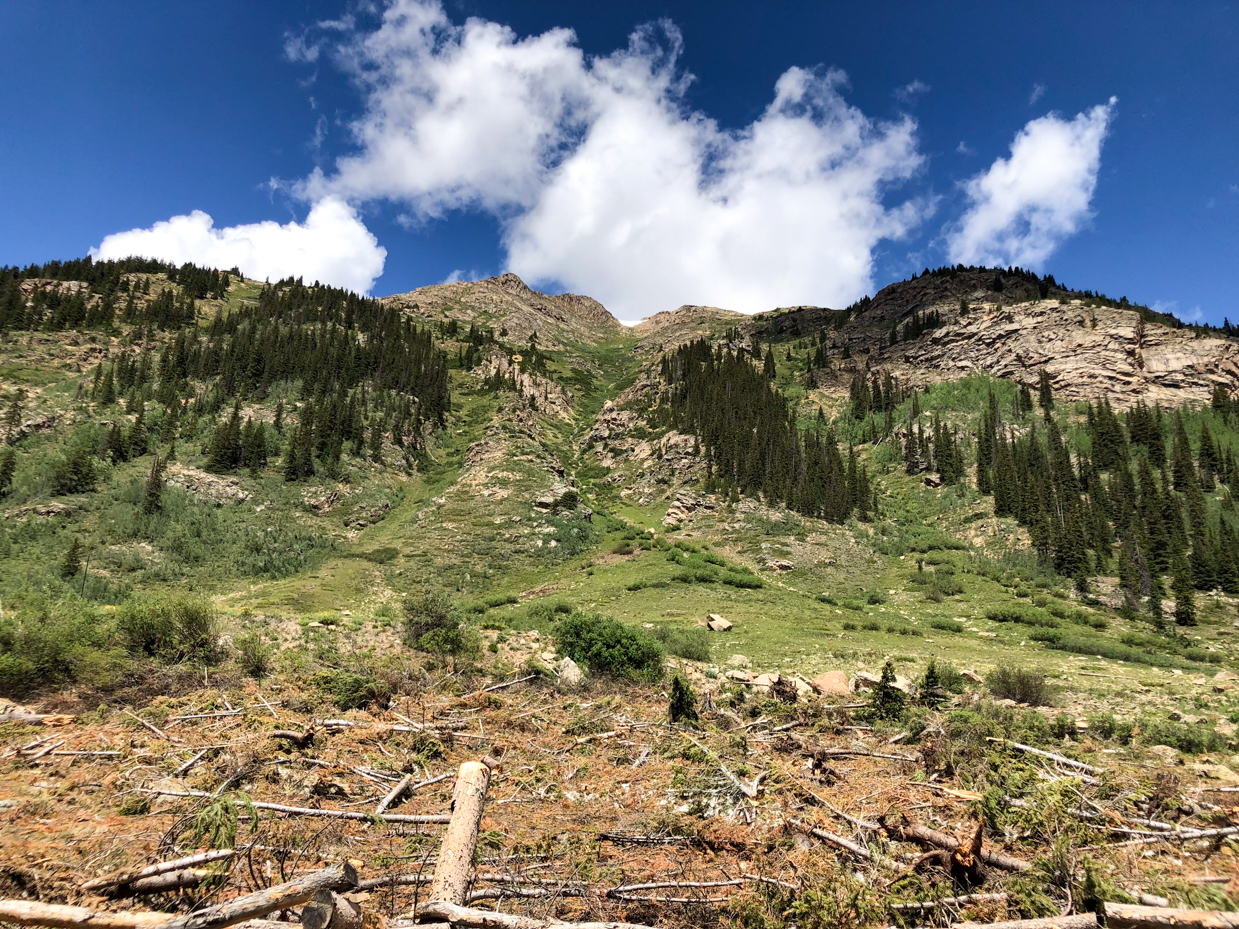 rocky-mountain-forest-regrowth-scenic-vista-dynamic-cloud-formation-artist-reference-photo