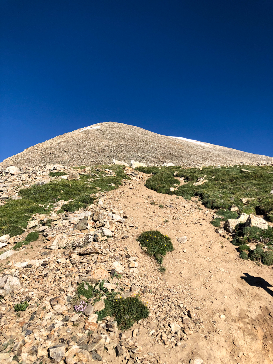 rocky-mountain-summit-trail-under-clear-blue-sky