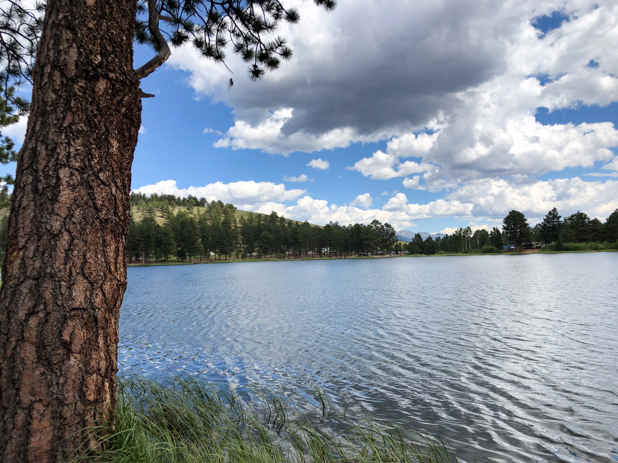 serene-lakeside-view-with-pine-trees-and-cloudy-sky-reflections