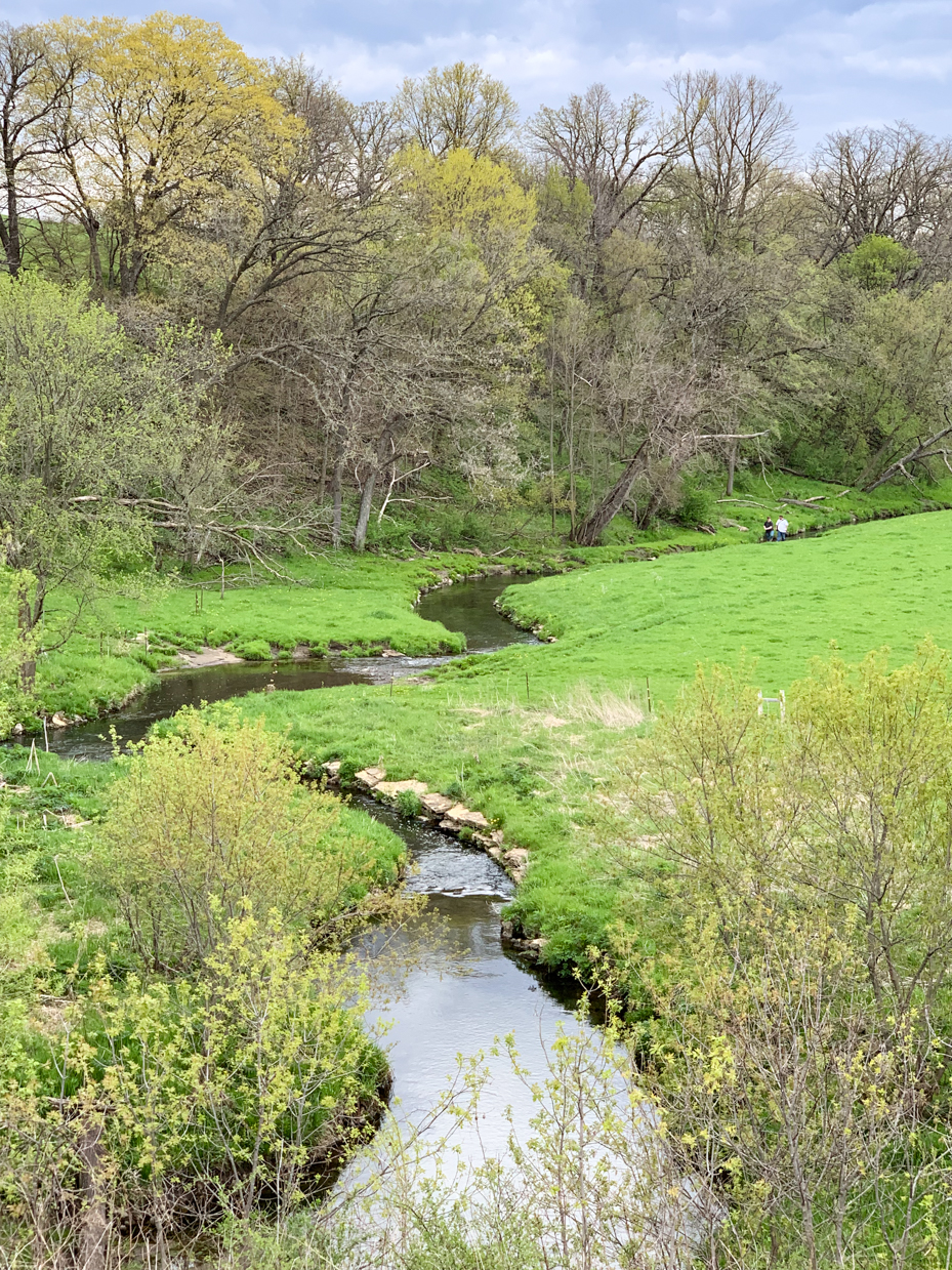 serene-stream-winding-through-lush-green-meadow-with-trees-in-spring-royalty-free-nature-landscape-reference-photo-for-scenic-waterways-forests-and-outdoor-exploration