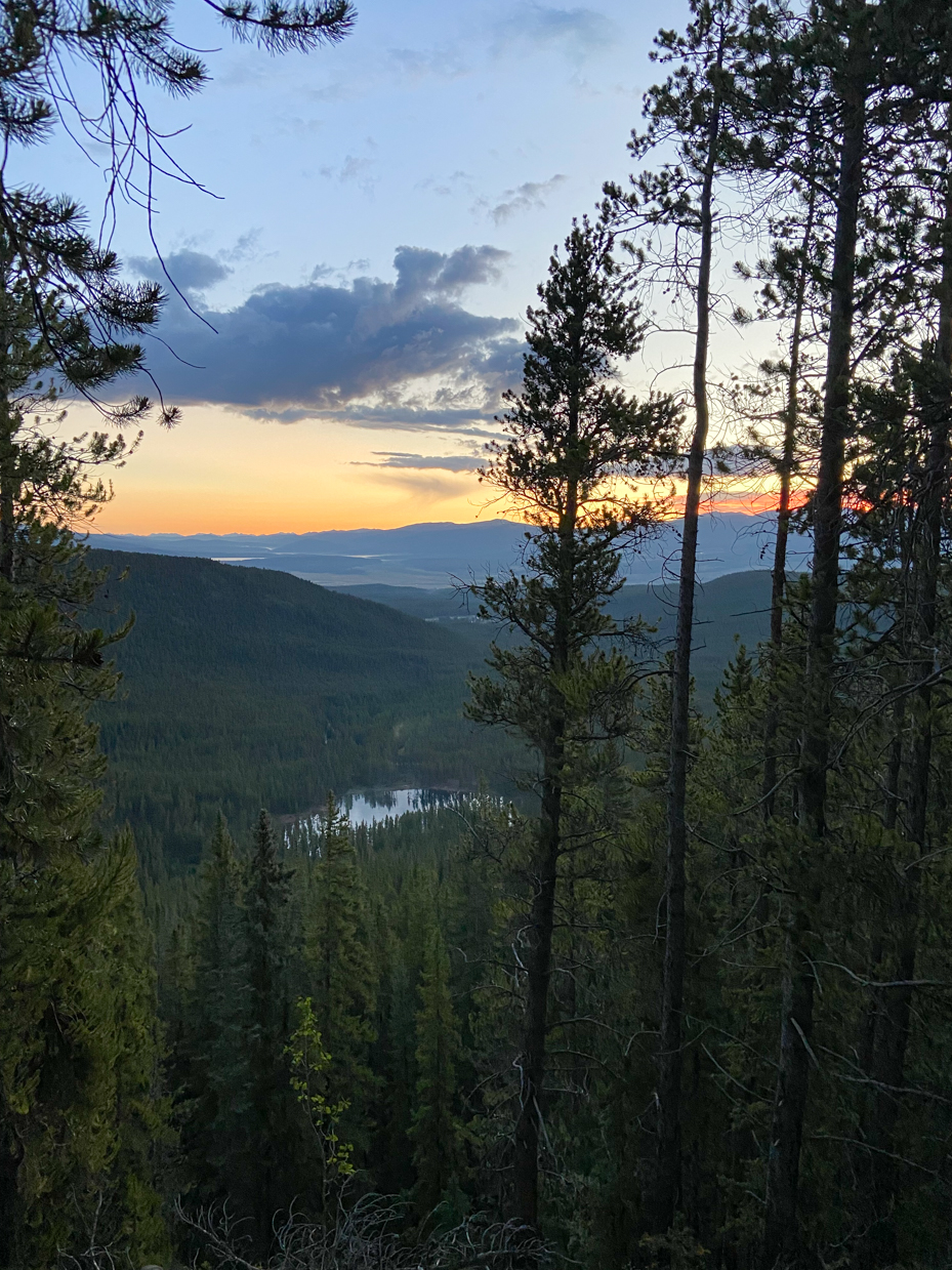 sunset-over-forested-mountain-valley-with-distant-lake-view-through-tall-pine-trees-royalty-free-nature-landscape-reference-photo-for-scenic-sunsets-wilderness-and-outdoor-adventure