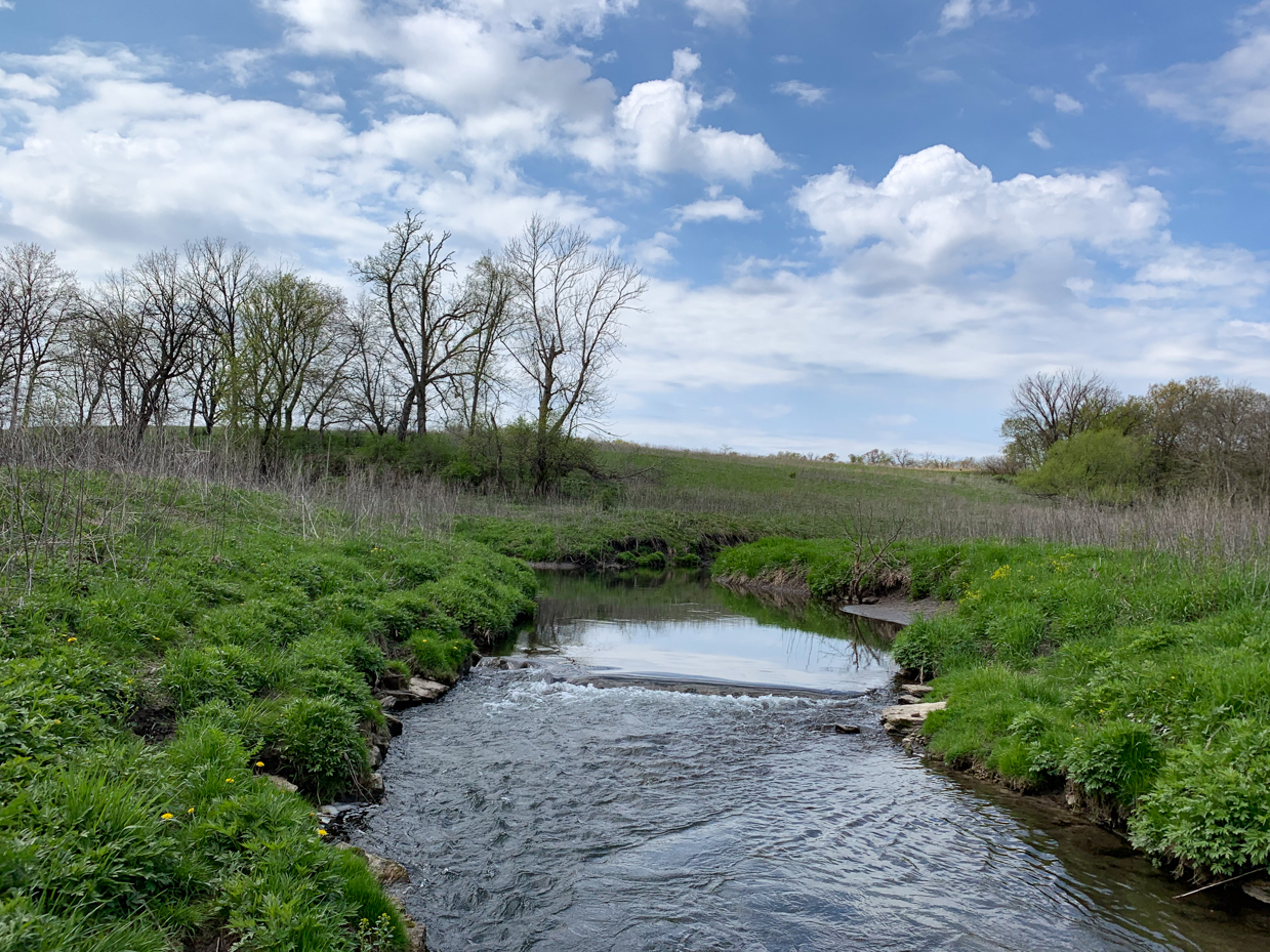 tranquil-stream-with-lush-green-banks-flowing-through-countryside-under-blue-sky-with-clouds-royalty-free-nature-landscape-reference-photo-for-waterways-pastoral-scenes-and-outdoor-exploration