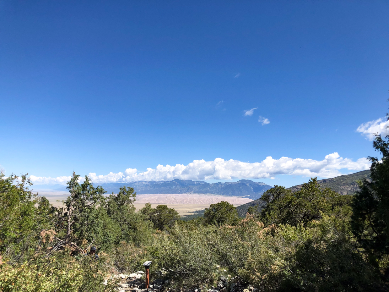 vast-desert-valley-view-with-lush-greenery-and-mountain-backdrop-under-clear-blue-skies