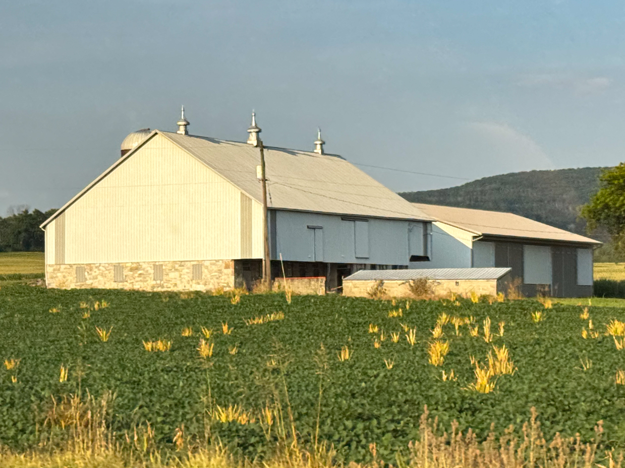 barn-with-metal-roof-and-silos-in-a-field-with-green-crops-and-sparse-yellow-patches-backdropped-by-a-mountain-range-in-the-distance-captured-in-late-afternoon-light