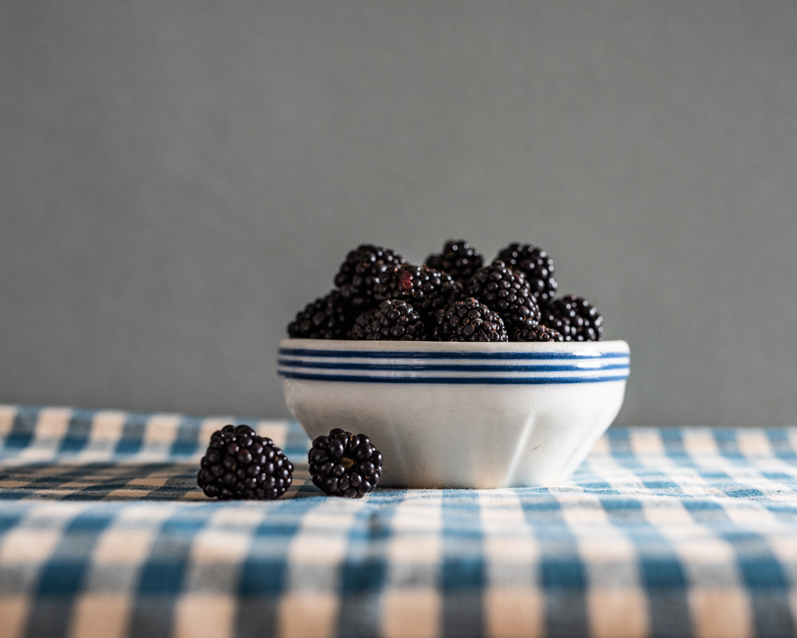 blackberries-in-blue-striped-bowl-on-gingham-cloth-artist-reference