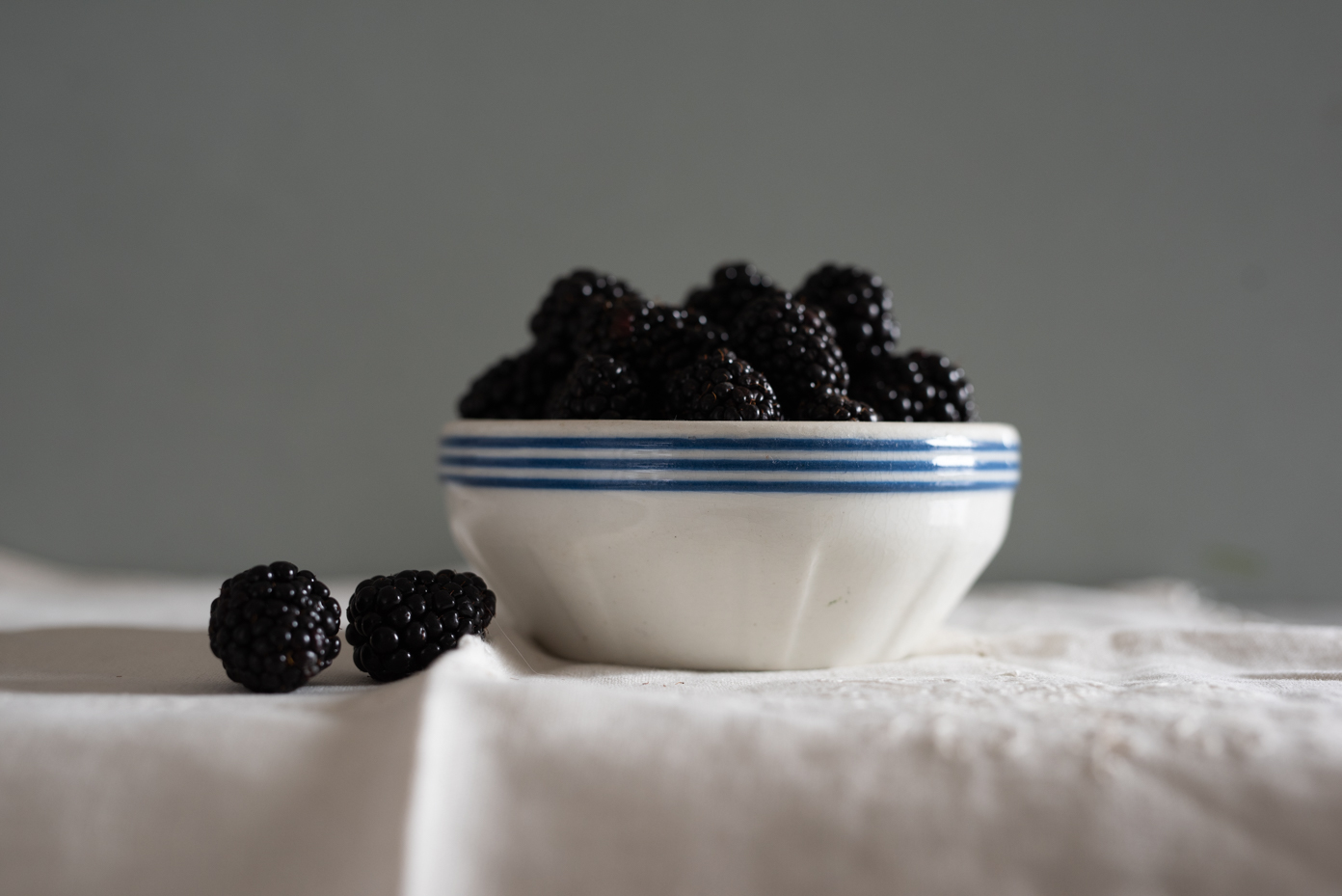 blackberries-in-white-blue-striped-bowl-still-life-artist-reference