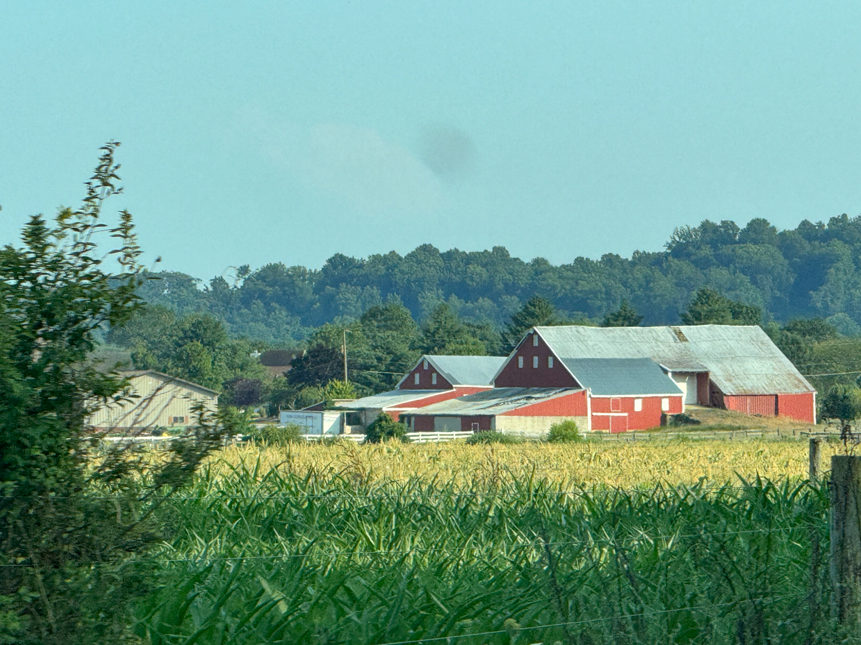 classic-red-barn-in-a-lush-cornfield-surrounded-by-greenery-and-rolling-hills