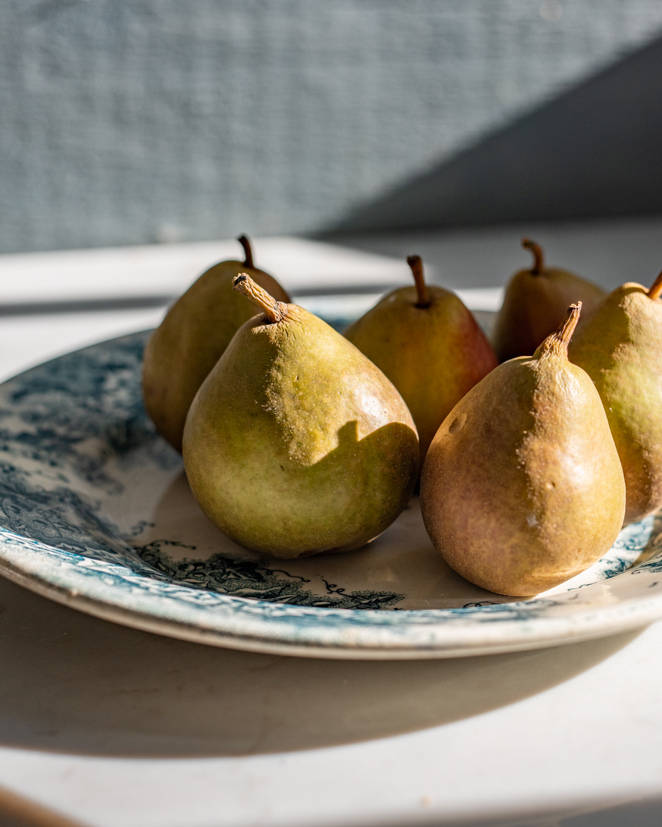 close-up-of-fresh-pears-on-vintage-plate-with-sunlight-shadows-artist-reference-photo