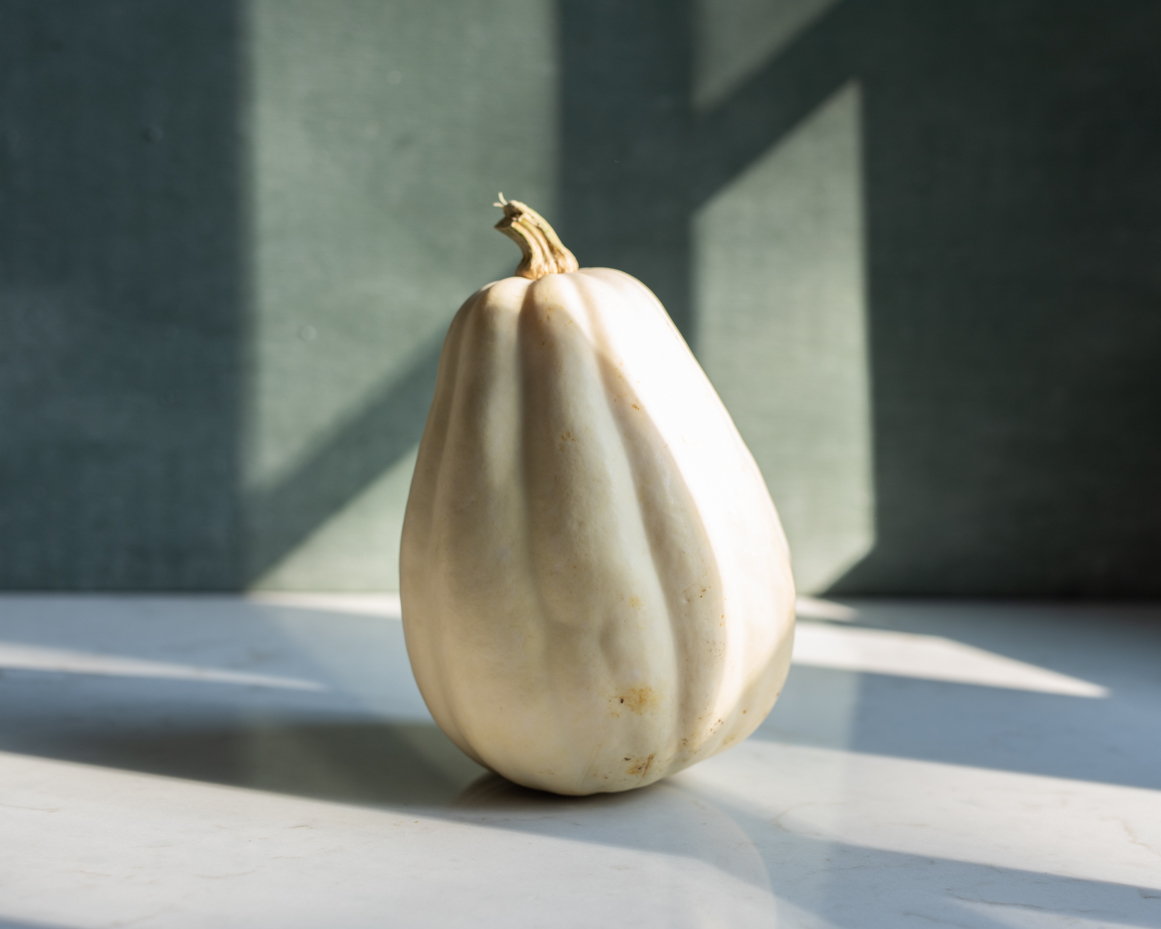 moody-pumpkins-heirloom-pumpkins-white-acorn-squash-artist-reference-photo