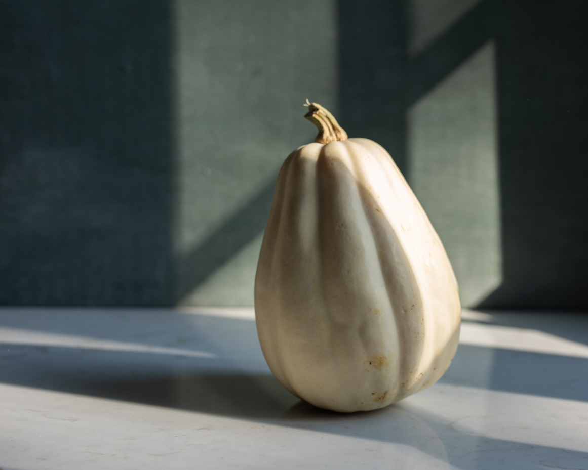 moody-pumpkins-heirloom-pumpkins-white-acorn-squash-2-artist-reference-photo