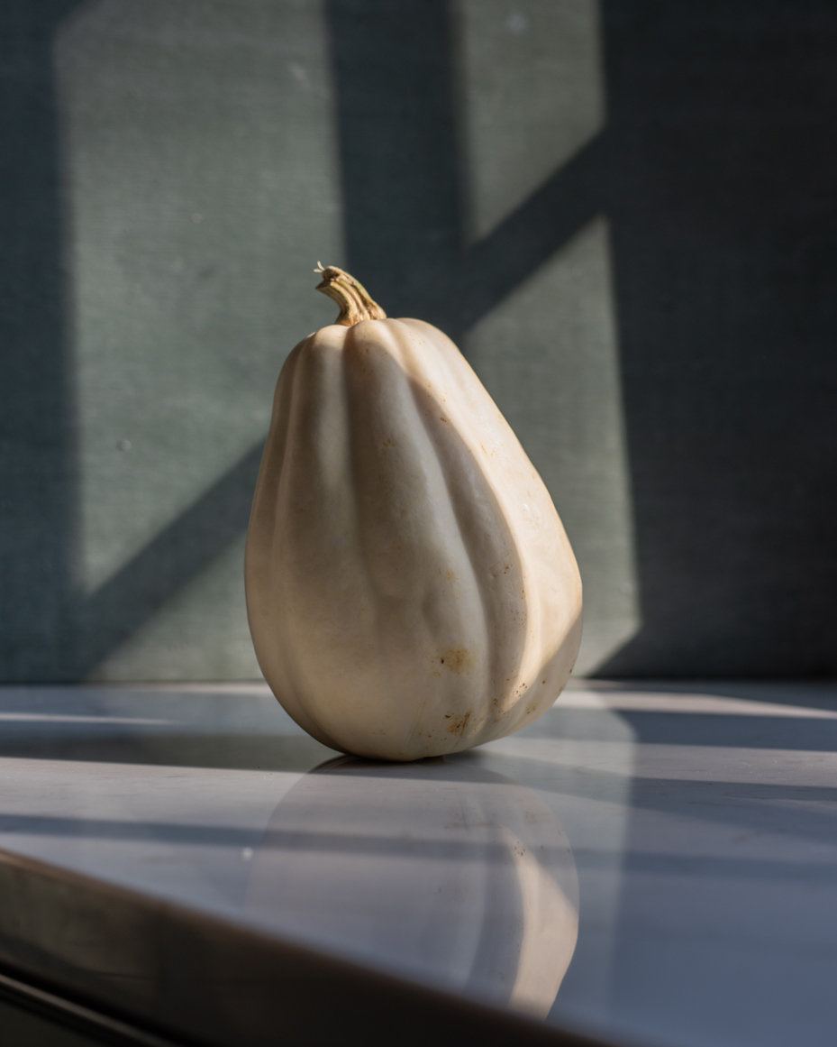 moody-pumpkins-heirloom-pumpkins-white-acorn-squash-3-artist-reference-photo