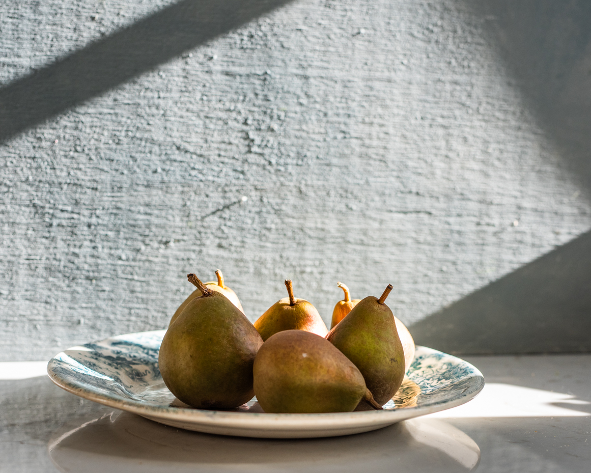 fresh-pears-on-blue-and-white-plate-in-sunlight-with-textured-wall-artist-reference-photo