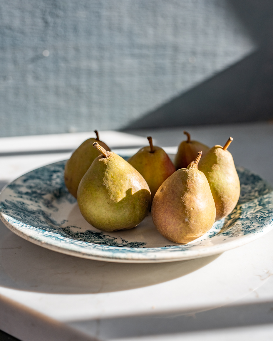 golden-pears-on-blue-vintage-plate-in-sunlit-setting-artist-reference-photo