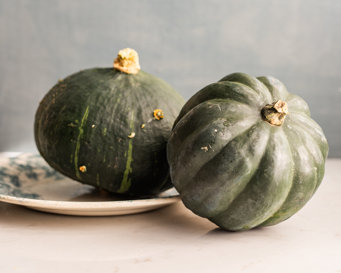 green-gourds-close-up-on-plate-artist-reference-photo