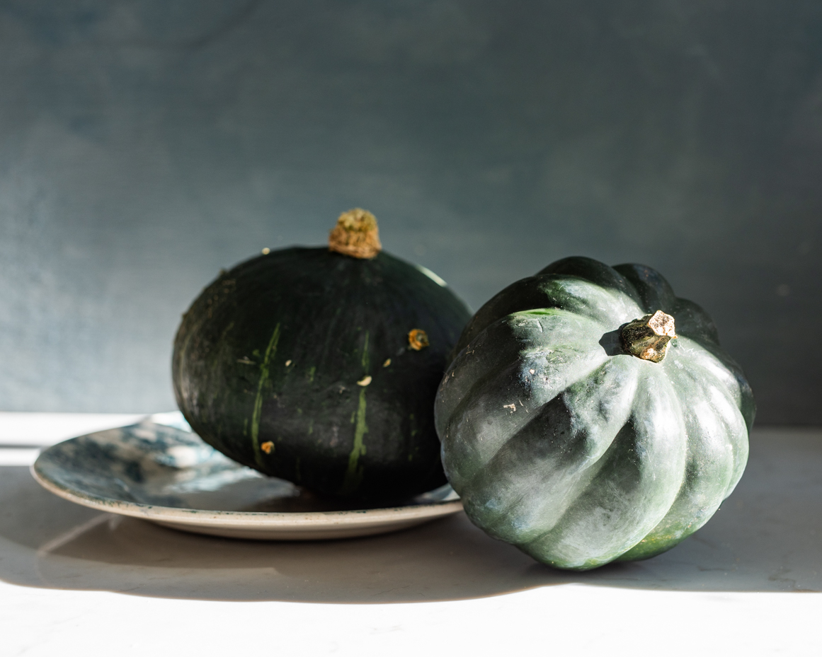 green-squash-still-life-with-plate-artist-reference-photo