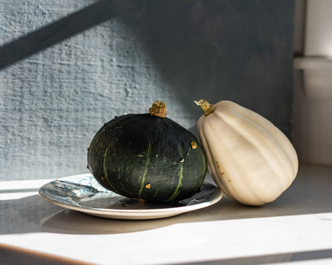 green-and-white-squash-still-life-on-plate-in-natural-light-artist-reference-photo