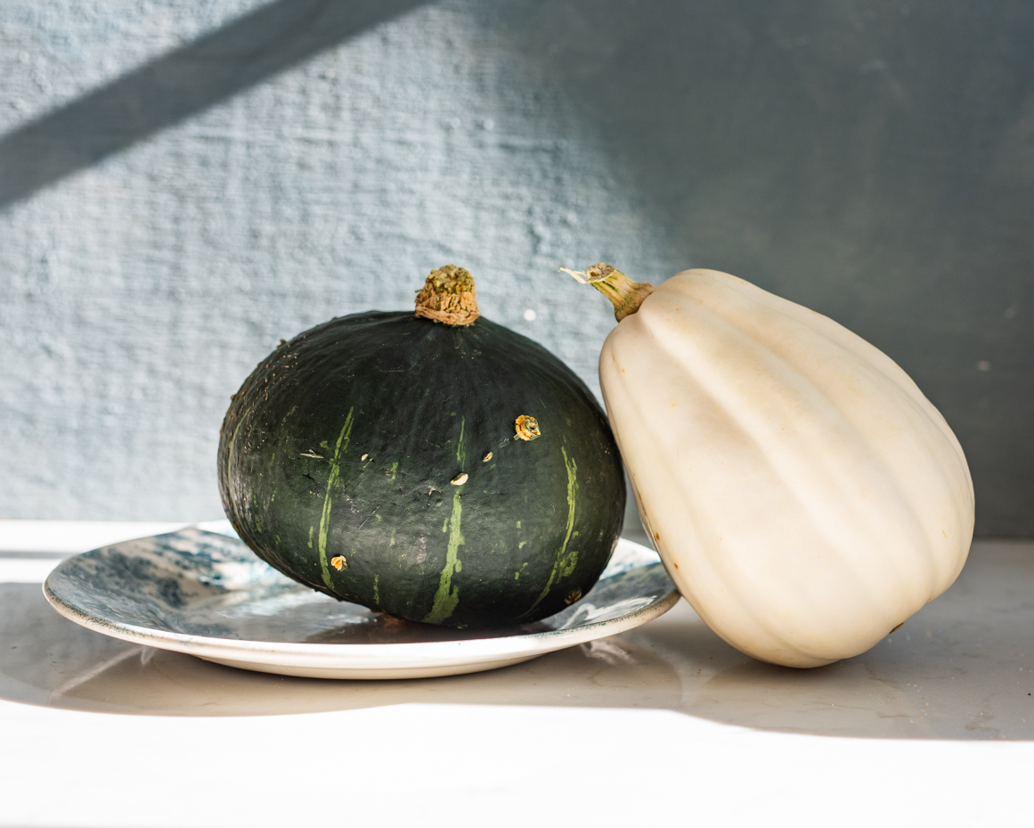 green-and-white-squash-still-life-with-plate-artist-reference-photo