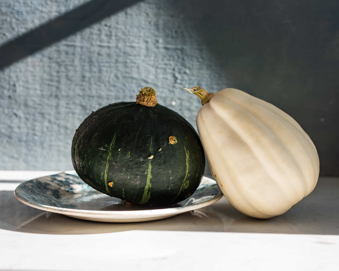 green-and-white-squash-on-plate-still-life-artist-reference-photo