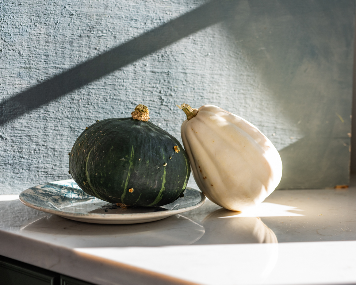 green-and-white-squash-on-plate-in-sunlight-with-textured-wall-artist-reference-photo