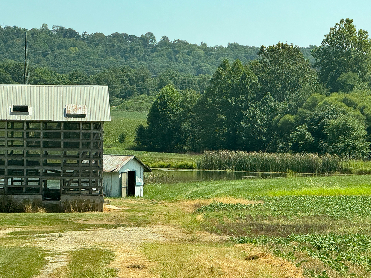 old-barn-and-shed-on-farm-with-green-fields-and-tree-covered-hills