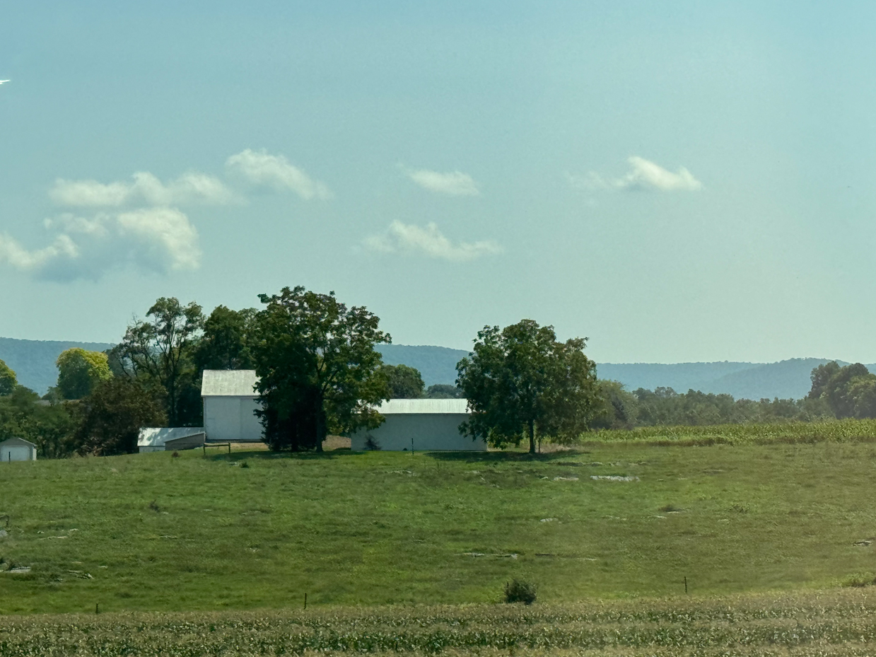 peaceful-countryside-scene-with-a-white-barn-and-trees-on-a-grassy-hill-under-a-clear-sky