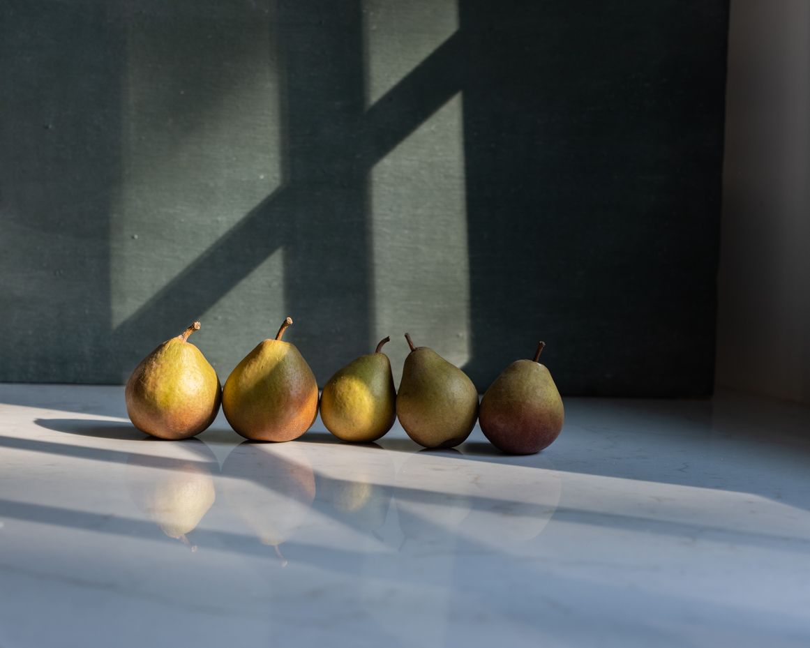 pears-in-quiet-afternoon-light-with-shadows-artist-still-life-reference