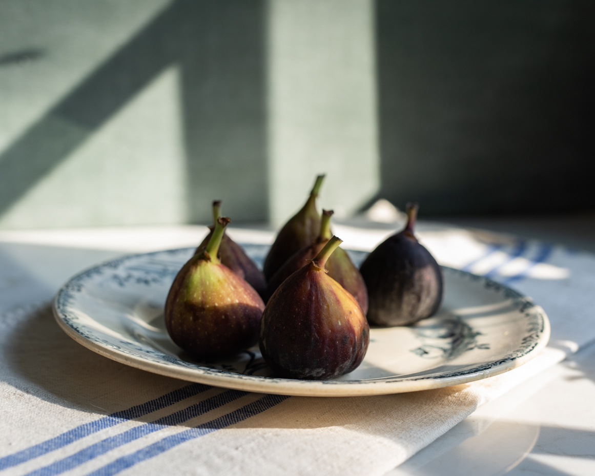 ripe-figs-on-vintage-plate-with-dramatic-shadows-still-life-reference