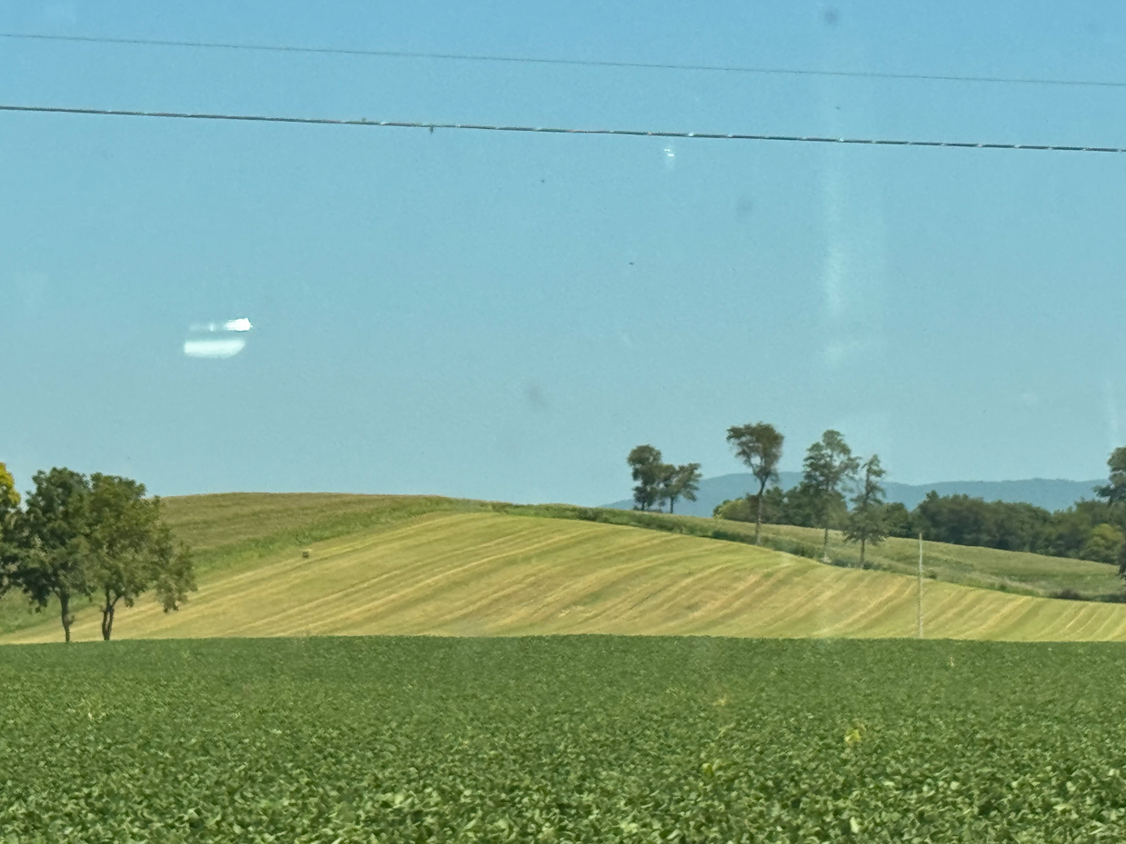 rolling-farmland-with-crops-and-gentle-hills-under-clear-blue-sky