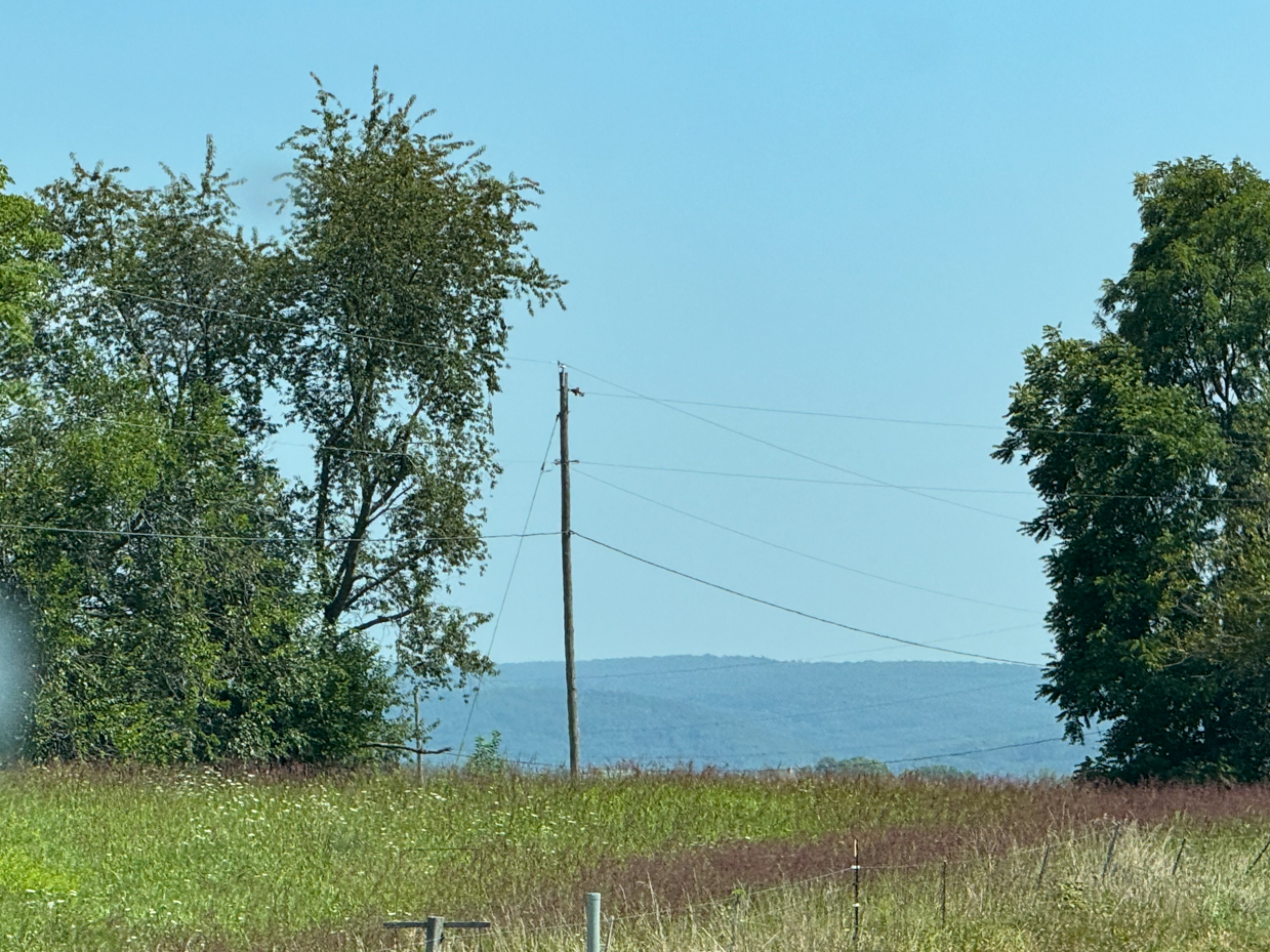 rolling-farmland-with-power-lines-and-trees-under-a-clear-blue-sky