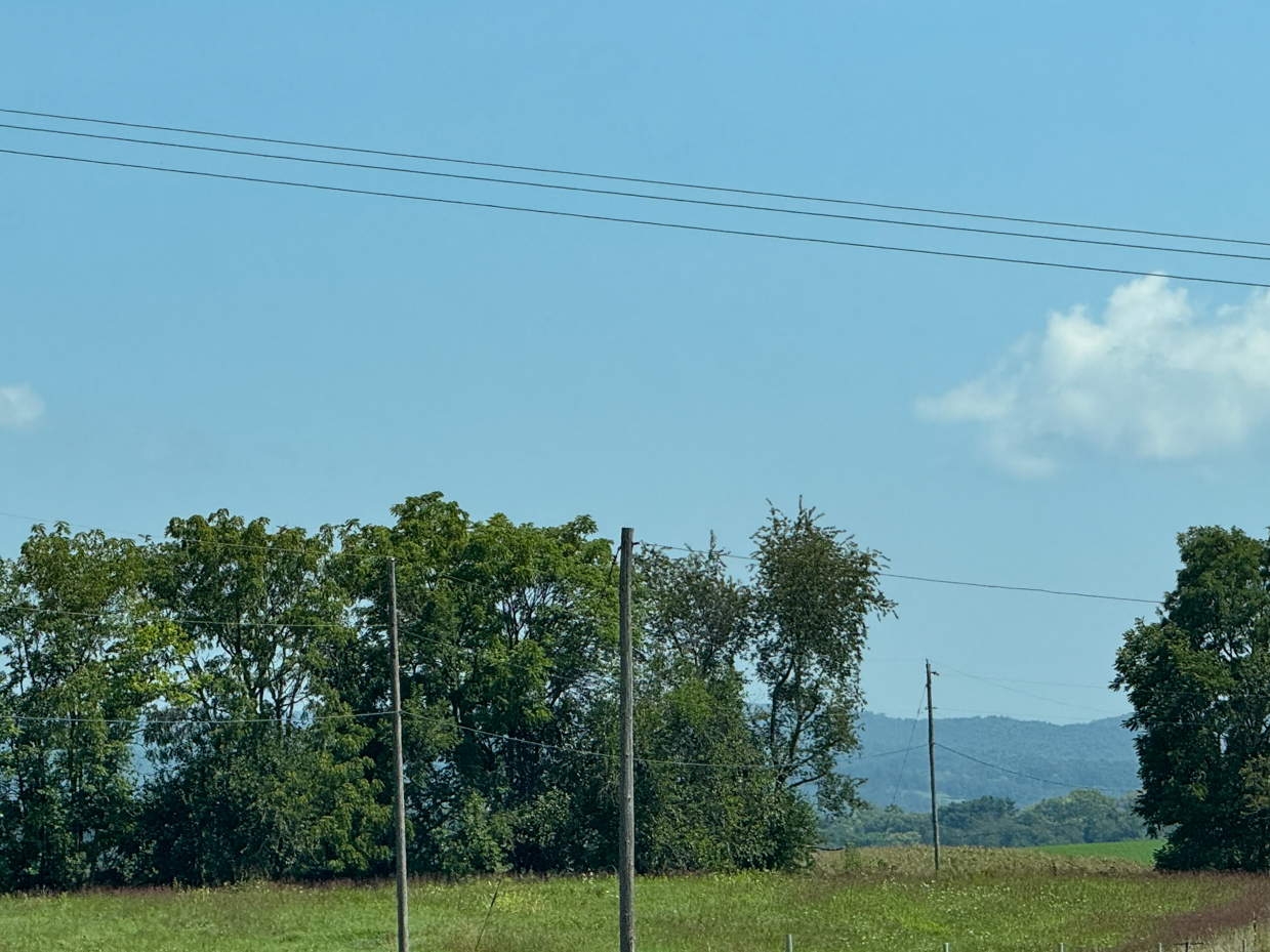 rural-landscape-with-power-lines-and-green-trees-against-a-blue-sky